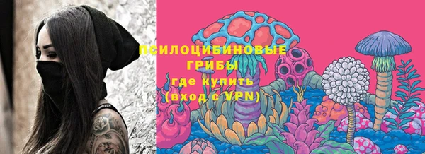 молекула духа Абинск