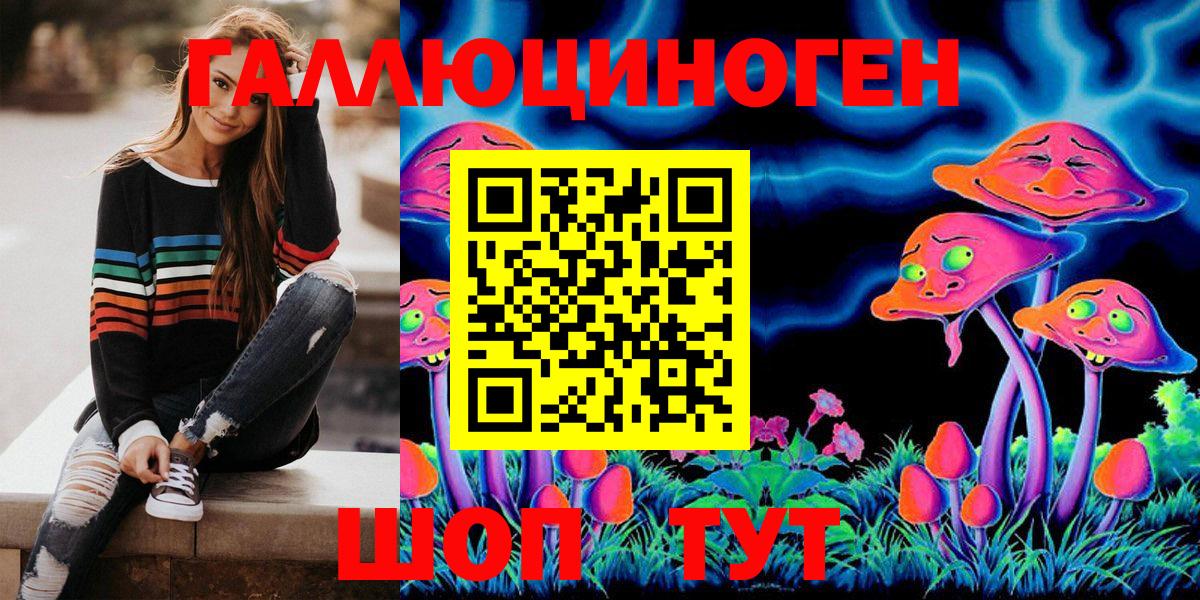 Псилоцибиновые грибы Psilocybe Шали