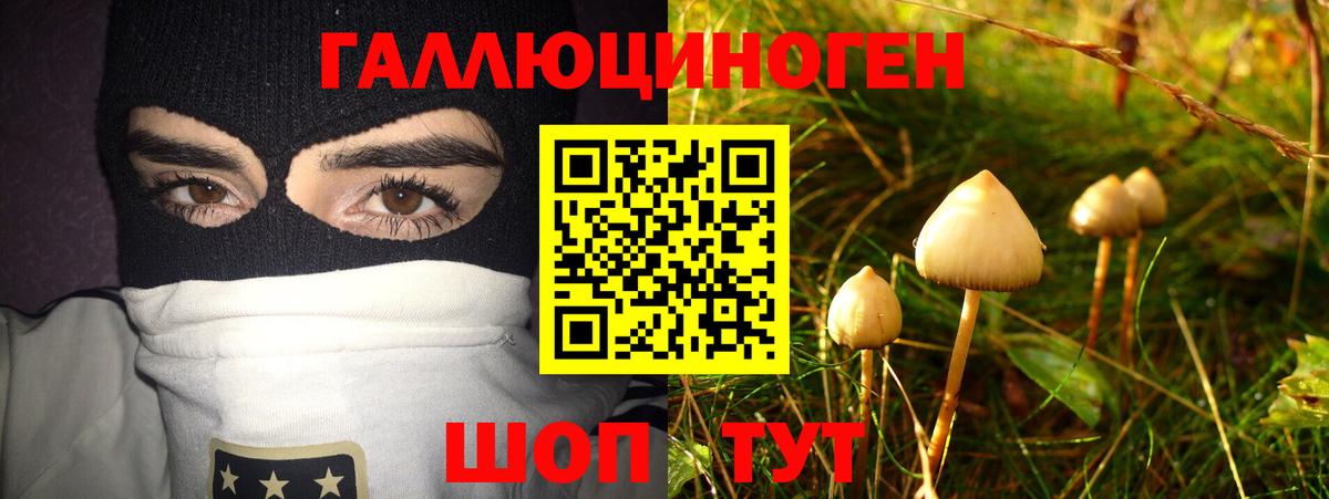 Шали  Галлюциногенные грибы MAGIC MUSHROOMS  Вход с VPN  Галлюциногенные грибы мухоморы 