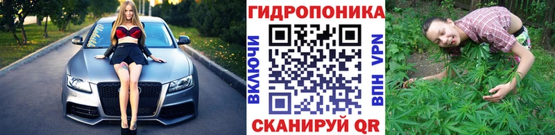 Шишки марихуана сатива  mega как войти  Шали  купить закладку 